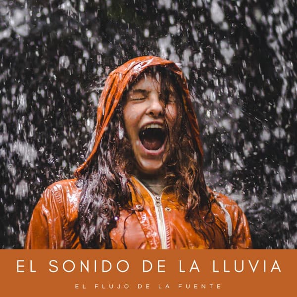 El Sonido De La Lluvia: Gotas De Lluvia Cayendo Del Cielo Vol. 1 - Ruido De Colores