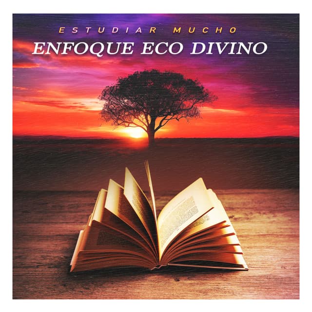 Enfoque Eco Divino - Estudiar Mucho