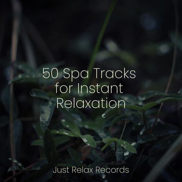 50 Spa Tracks for Instant Relaxation - Meditation Spa