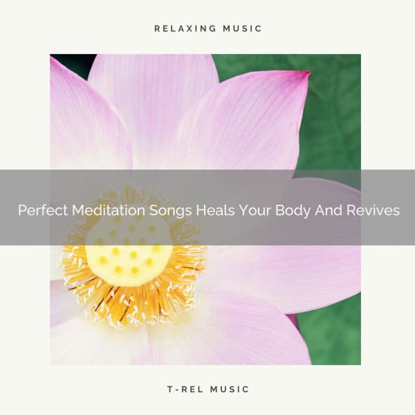 Perfect Meditation Songs Heals Your Body And Revives - Eternal Relax