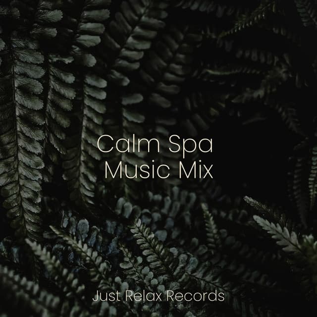 Calm Spa Music Mix - Musica para Dormir Dream House