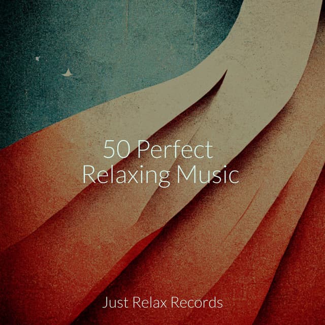 50 Perfect Relaxing Music - Relaxed Minds