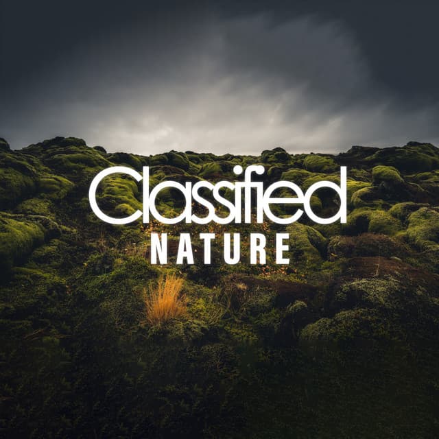 Classified Nature - Sounds for Life