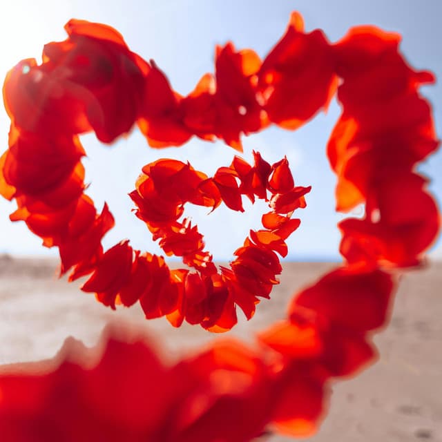 Classical Music for Valentine's Day - Johann Sebastian Bach