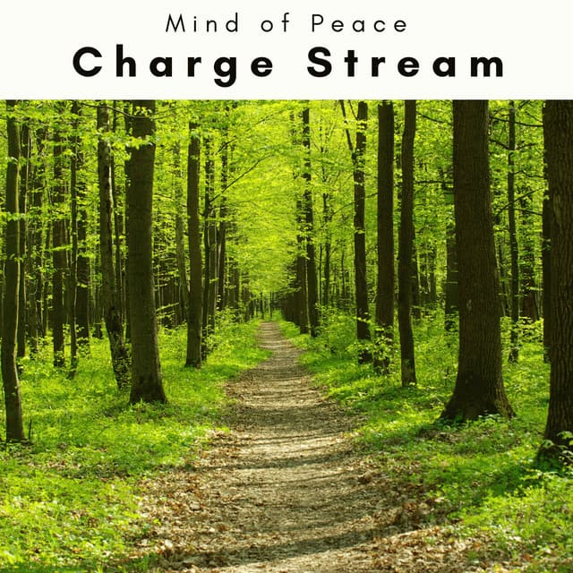 1 Charge Stream - Mind of Peace