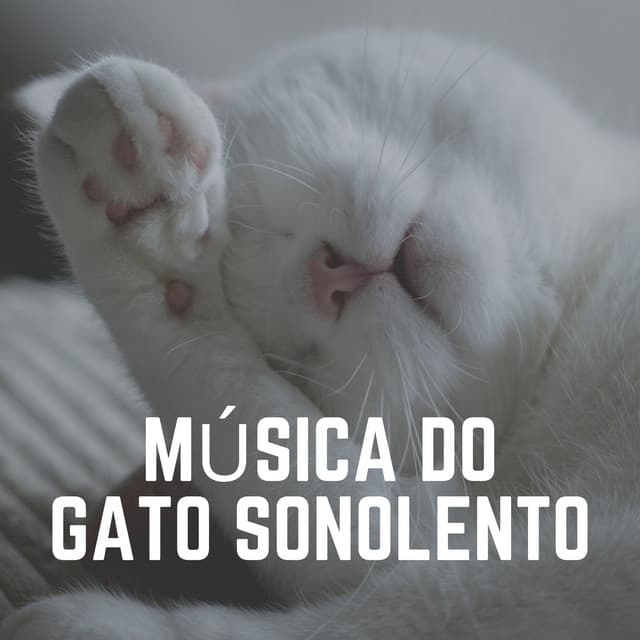 Música do Gato Sonolento - Musica para Gatos