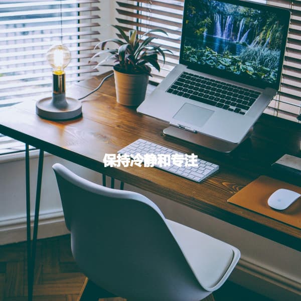 保持冷静和专注 - New York Jazz Trio