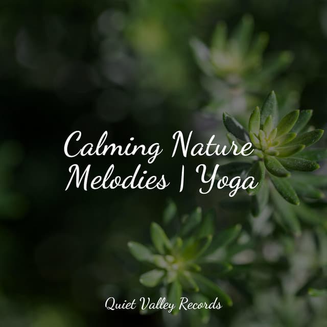 Calming Nature Melodies | Yoga - Relaxamento