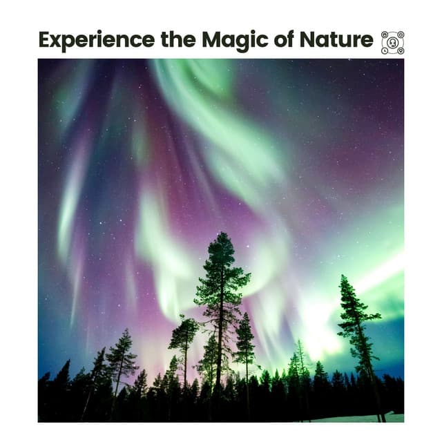 Experience the Magic of Nature - Essential Nature Sounds