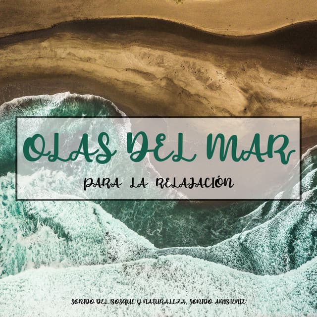 Olas del Mar para la Relajación - Sonido Del Bosque y Naturaleza