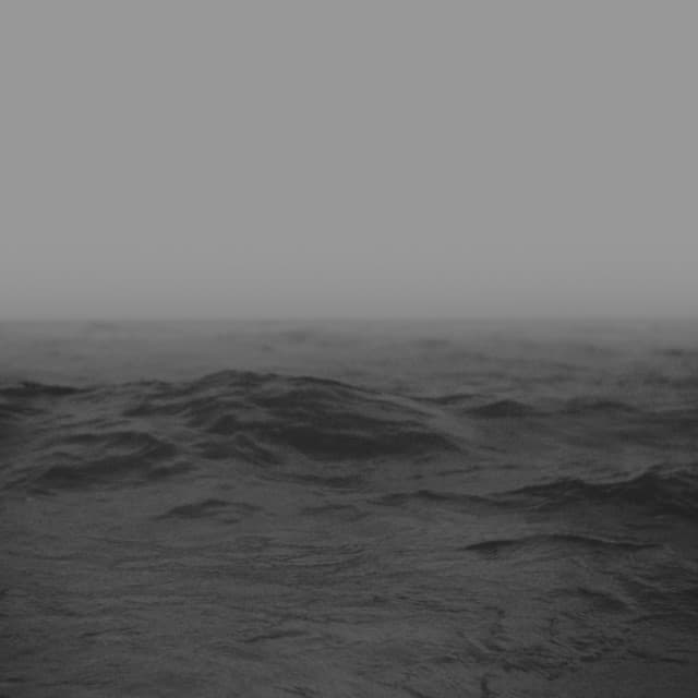 Steve Reich: Electric Counterpoint - Steve Reich