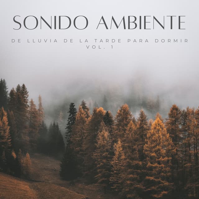 Sonido Ambiente De Lluvia De La Tarde Para Dormir Vol. 1 - Lluvia para un sueño profundo