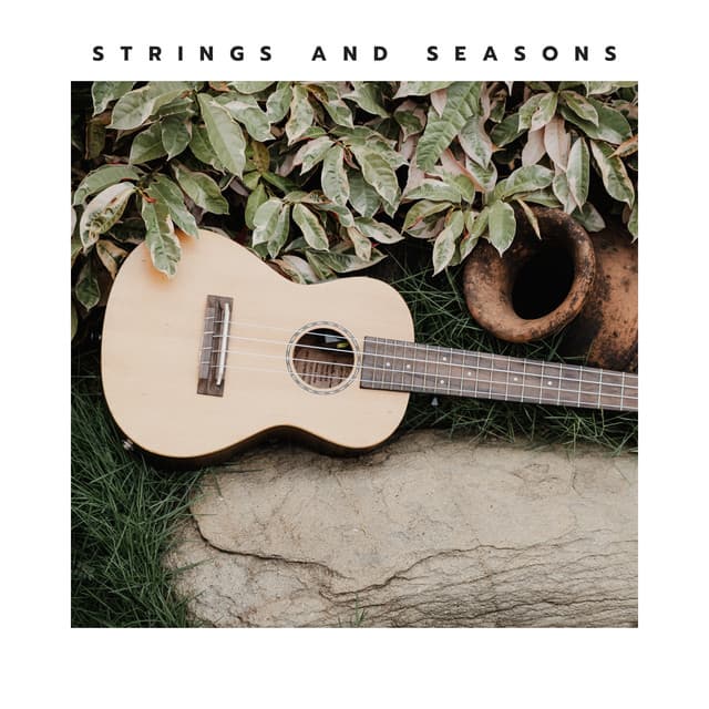 Strings and Seasons - Jazz Guitar Music Ensemble