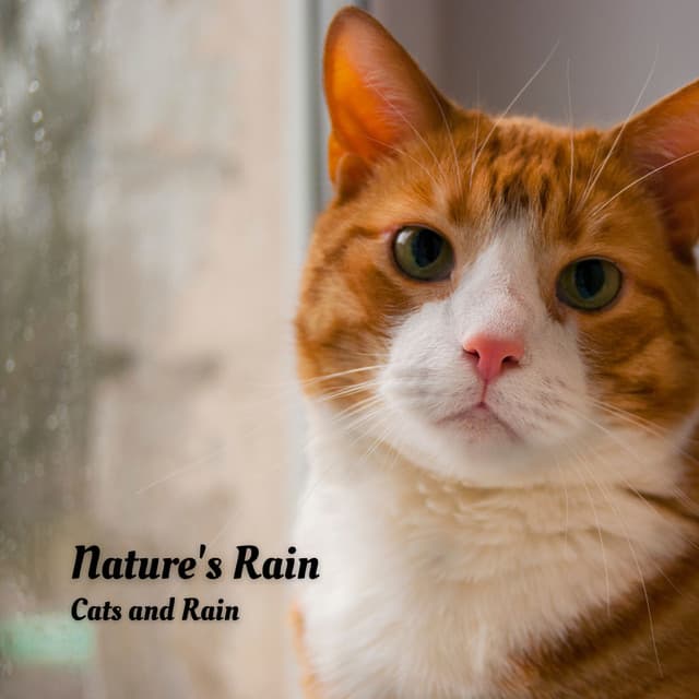 Precip