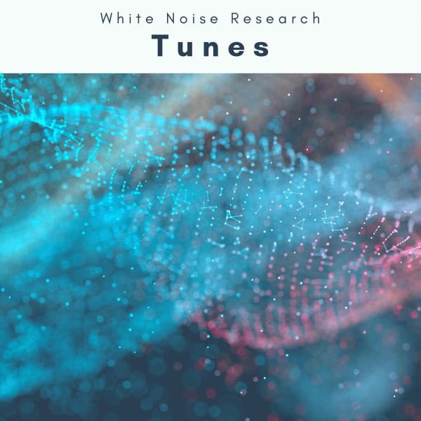 2022 Tunes - White Noise Research