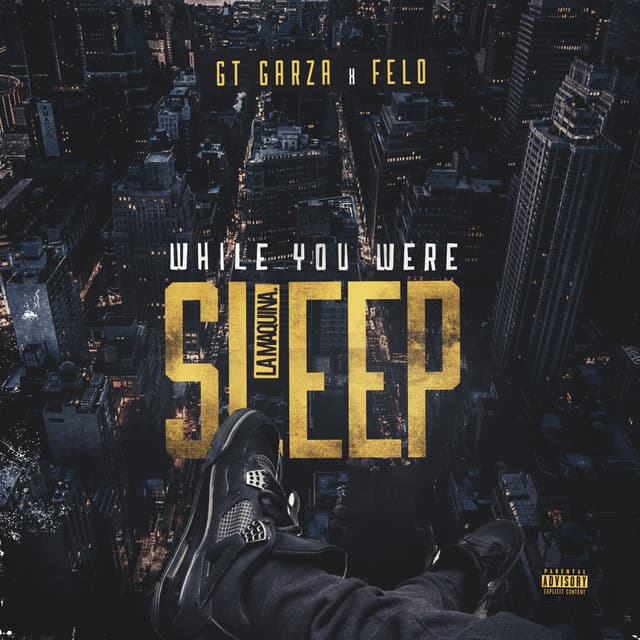 While You Were Sleep - GT Garza