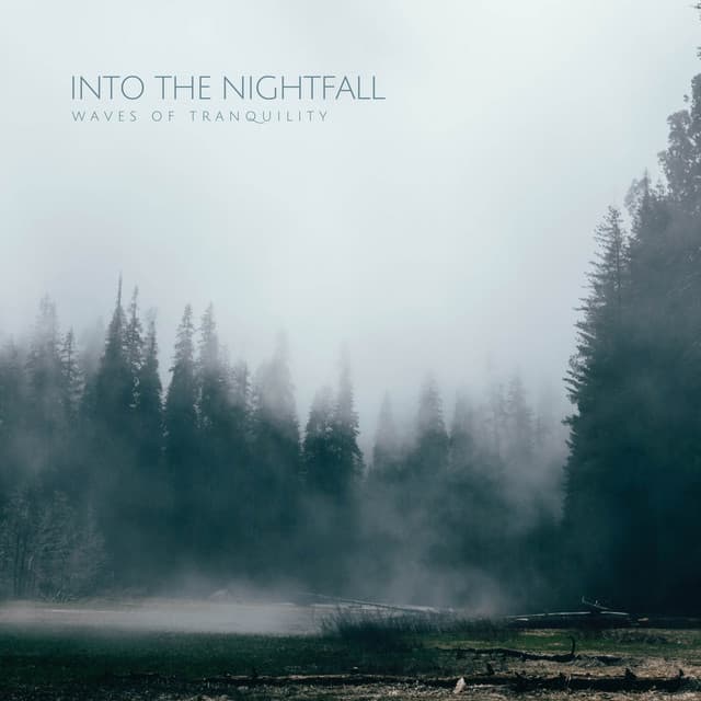 Into The Nightfall - Waves of Tranquility