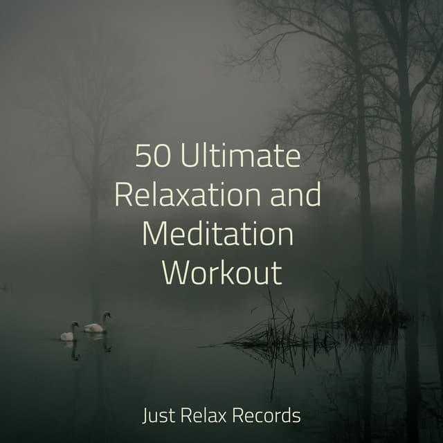 50 Ultimate Relaxation and Meditation Workout - Meditar Profundamente