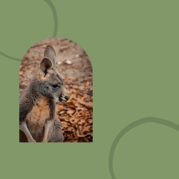 Ambiance for Refreshing Spring - Música para Desayuno