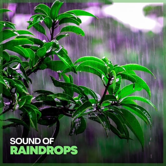 Sound of Raindrops - Loopable Rain Sounds