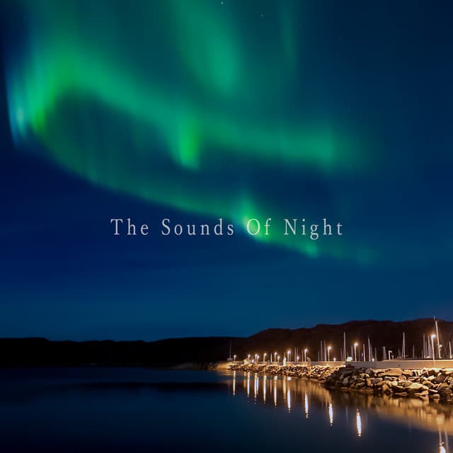 The Sounds Of Night -Calm Relaxing BGM- - Natural Healing