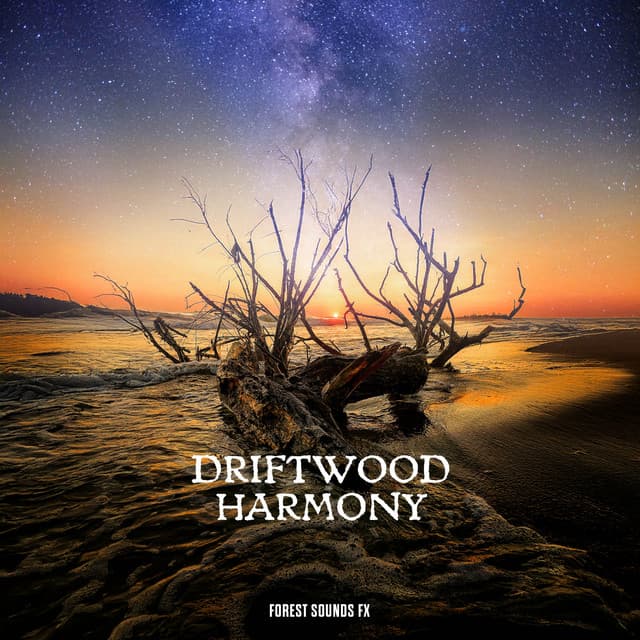Driftwood Harmony - Forest Sounds FX