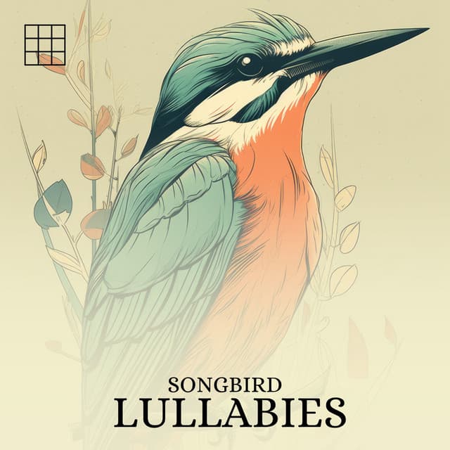 #01 Songbird Lullabies - Forest Sounds