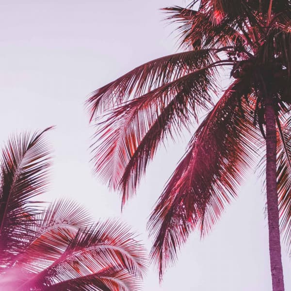 Backdrop for Right Vibes - Jazz-hop - Chill Hop Lofi Study Beats