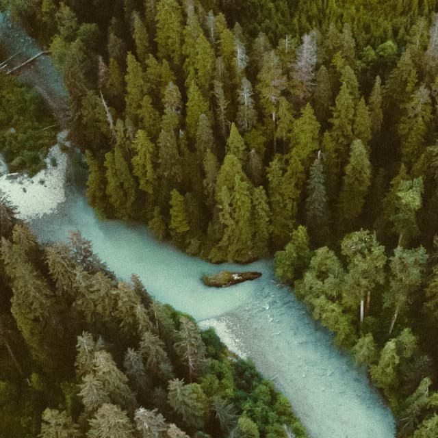 40 Ambient Nature Sounds: Canyon WInds - Baltic Nature Sounds