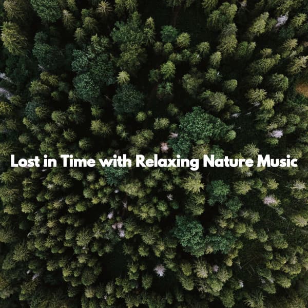 Lost in Time with Relaxing Nature Music - Music for Cooking