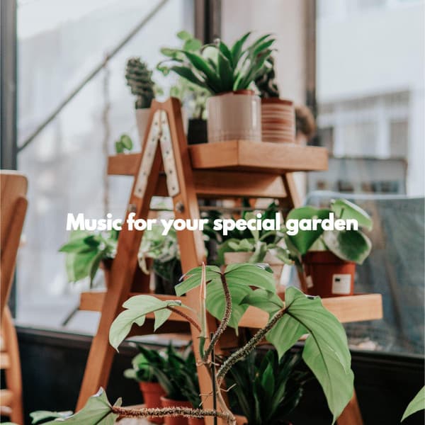Music for your special garden - Piano Bar Jazz