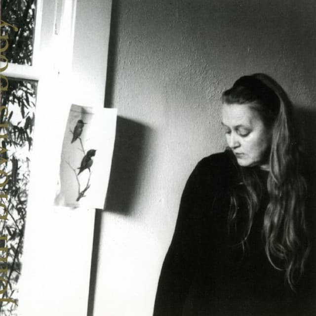 John Brown's Body - Robin Holcomb