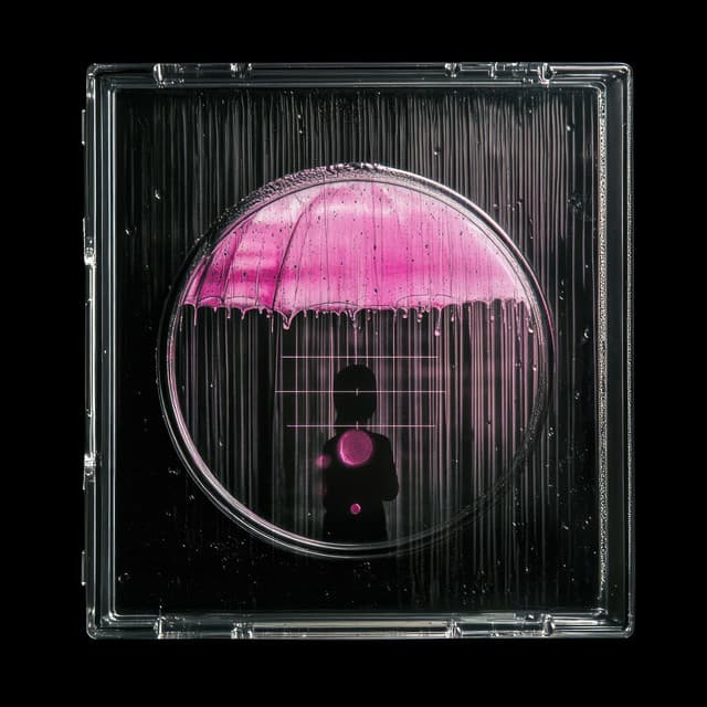 Tillad Din Sjæls Bløde Noder at Funkle - Factorial FX