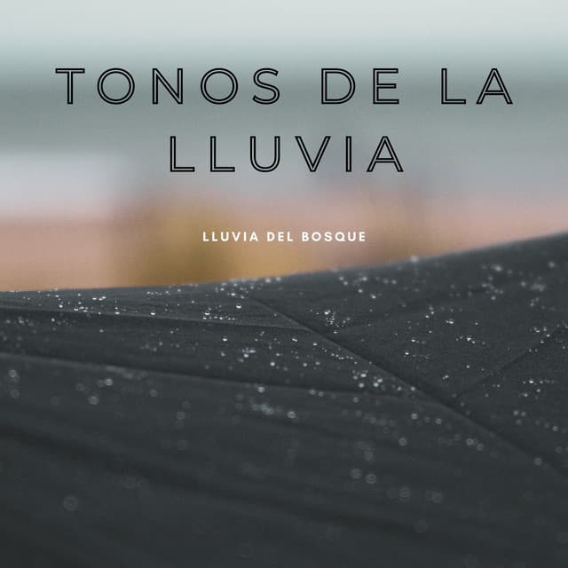 Tonos De La Lluvia: Lluvia Del Bosque - #Relajante