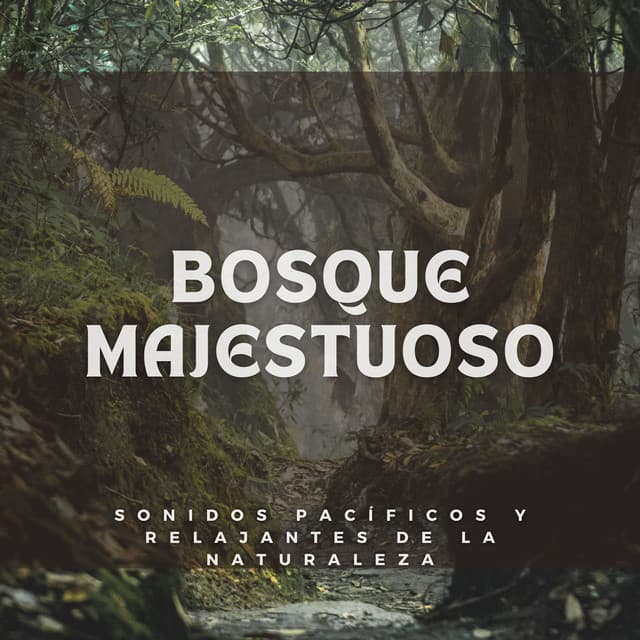 Bosque Majestuoso: Sonidos Pacíficos y Relajantes de la Naturaleza - Bosque ambiental