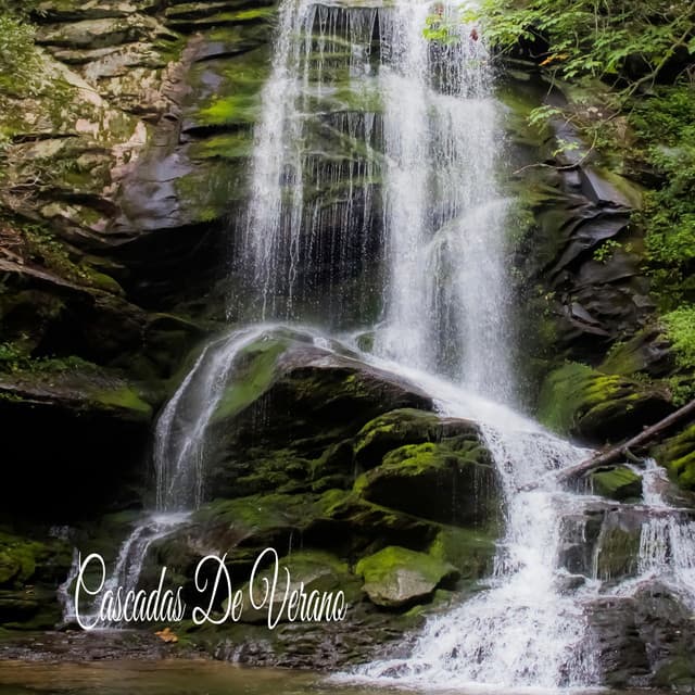 Cascadas De Verano - Academia de Música con Sonidos de la Naturaleza