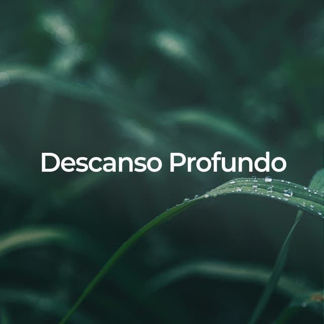 Descanso Profundo: Sonidos Calmantes de la Naturaleza - Lluvia PQ