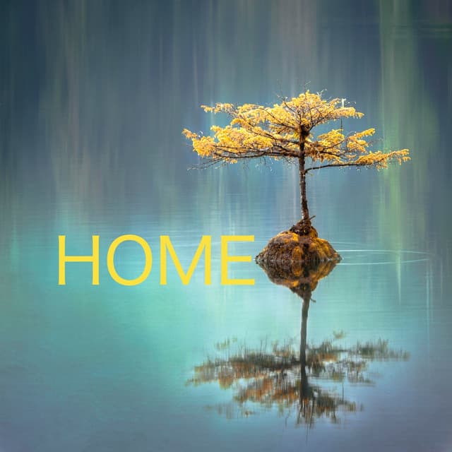 Home - Zen Mechanics