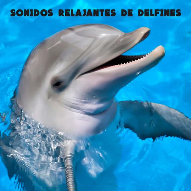 Sonidos De La Naturaleza