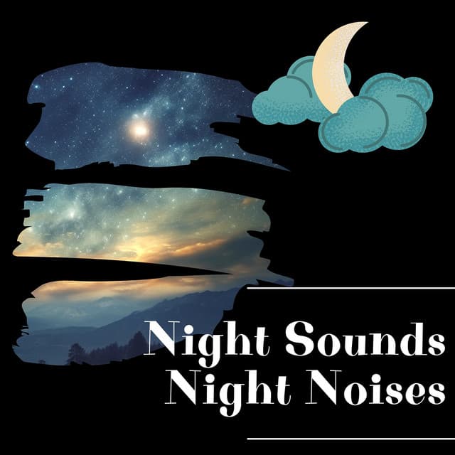Night Sounds, Night Noises - Night Sounds Channel