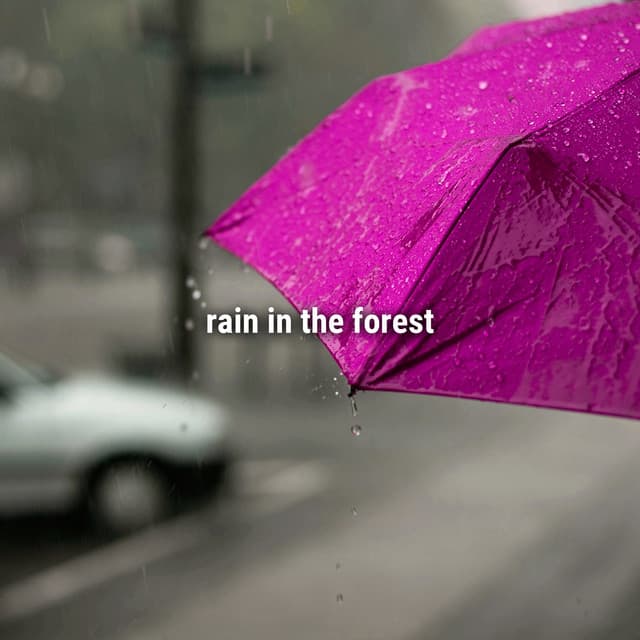 rain in the forest - Sound Effects Library