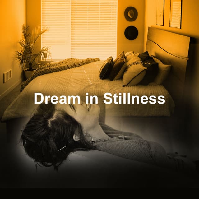 Dream in Stillness - Back 2 Sleep
