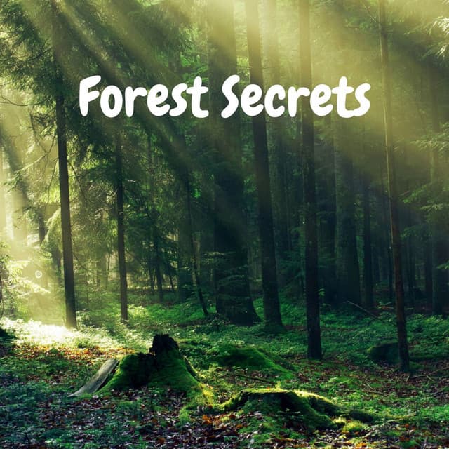 Forest Secrets - Sampling XL