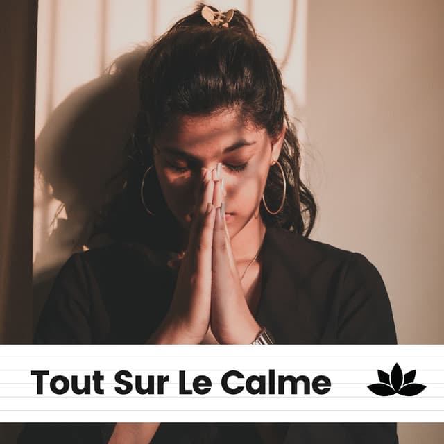 Tout Sur Le Calme - Attrape-rêves oasis