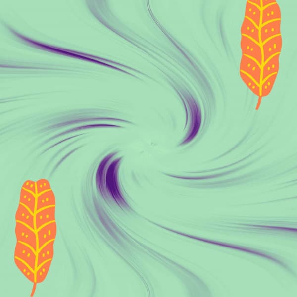 Echoes of Chillhop Sunsets - Lofi Tokyo