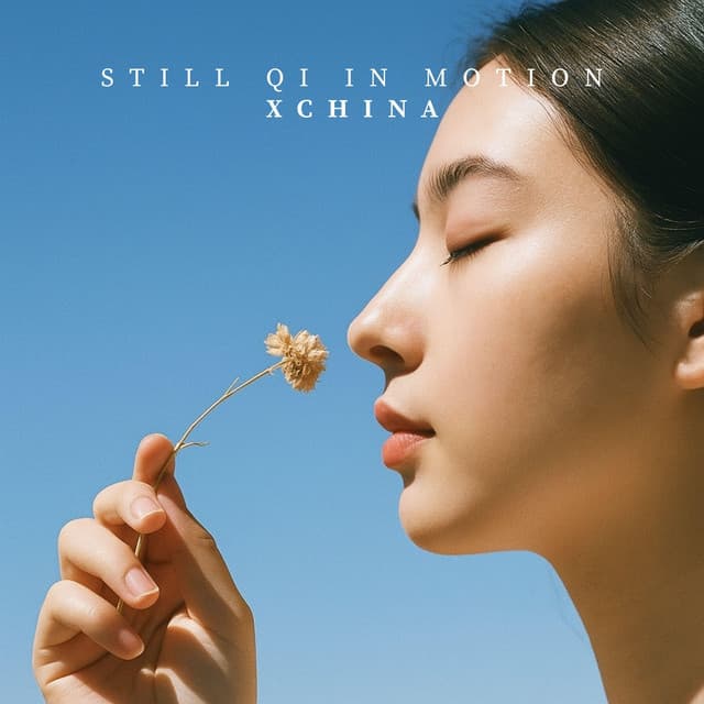 Still Qi in Motion - Xchina
