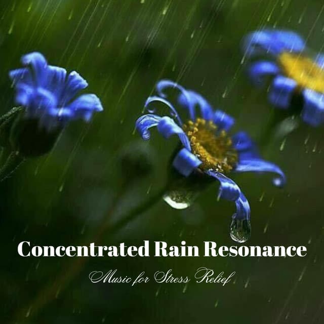 Concentrated Rain Resonance: Music for Stress Relief - Wet Rain 3AM