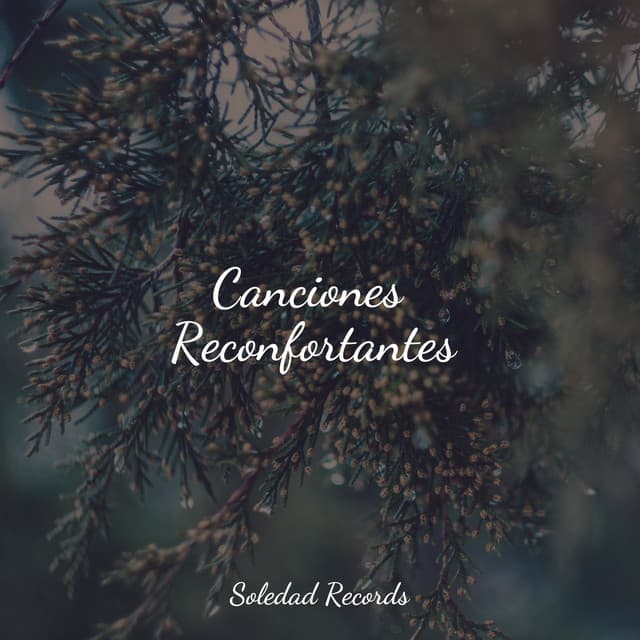 Canciones Reconfortantes - Canciones Infantiles de Niños