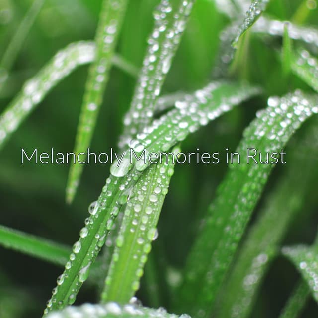 Melancholy Memories in Rust - Lumenis