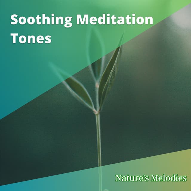 Soothing Meditation Tones to Combat Sleeplessness & Harmonize Sleep Pattern - Nature's Melodies
